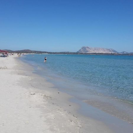 Nonna Antonietta Villa San Teodoro  Exteriör bild