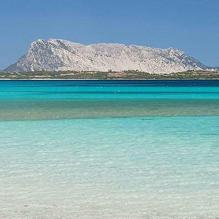 Nonna Antonietta Villa San Teodoro  Exteriör bild