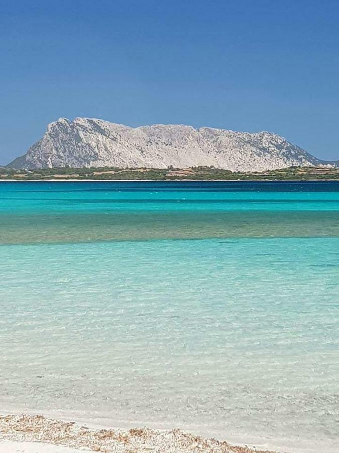 Nonna Antonietta Villa San Teodoro  Exteriör bild