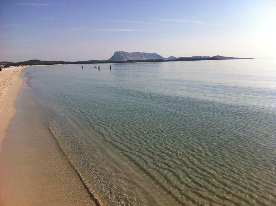 Nonna Antonietta Villa San Teodoro  Exteriör bild