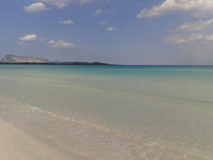 Nonna Antonietta Villa San Teodoro  Exteriör bild