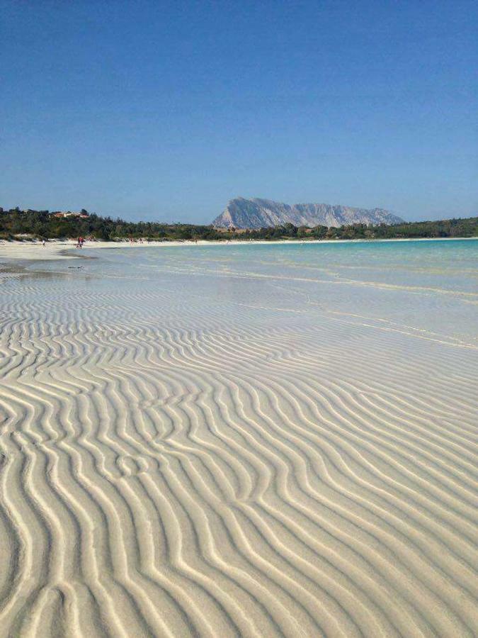 Nonna Antonietta Villa San Teodoro  Exteriör bild