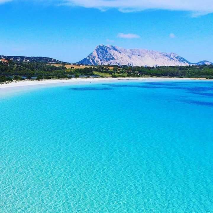Nonna Antonietta Villa San Teodoro  Exteriör bild