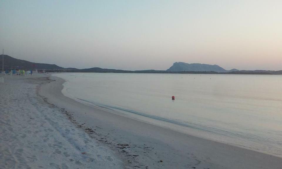 Nonna Antonietta Villa San Teodoro  Exteriör bild